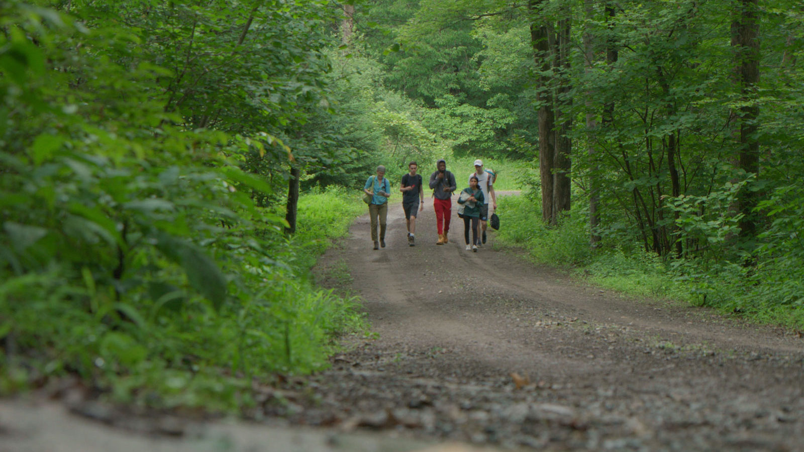 Dr. Rachel Cox, left, director of science research, does field work in Black Rock Forest with four students who are studying the effects of climate change on spruce trees.