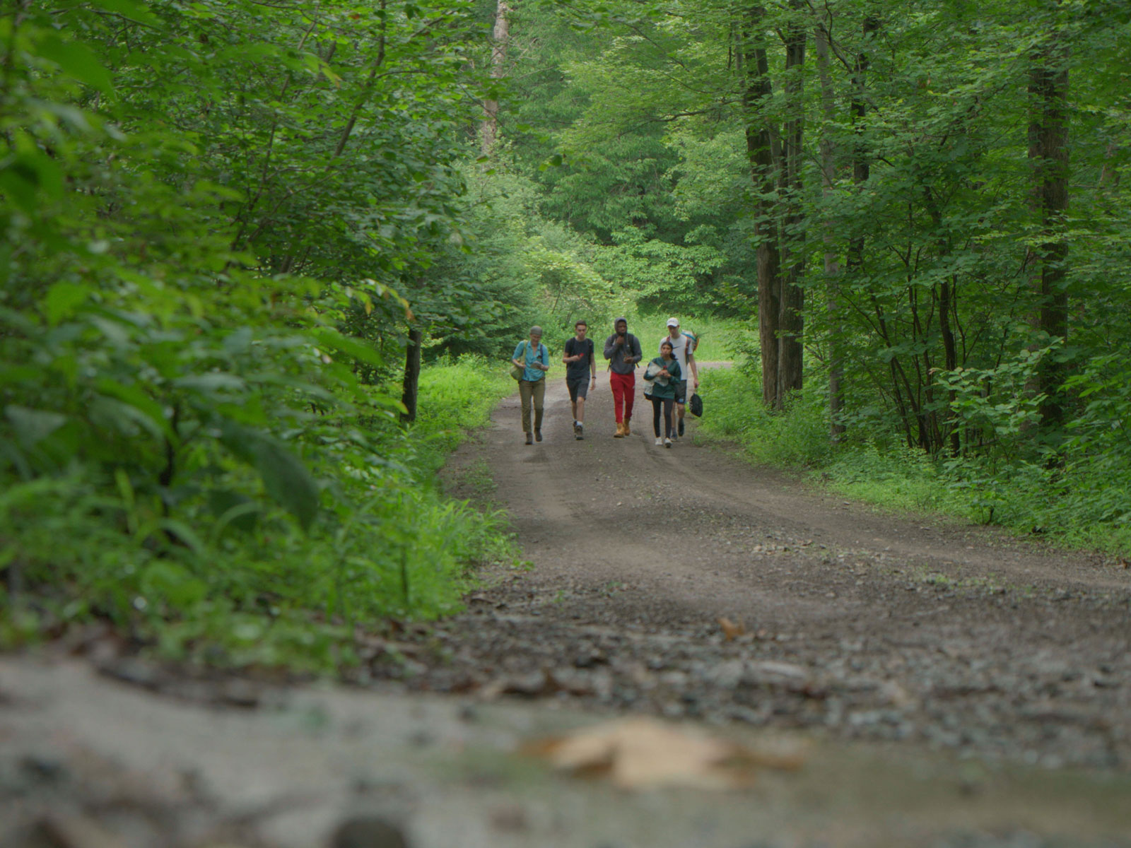 Dr. Rachel Cox, left, director of science research, does field work in Black Rock Forest with four students who are studying the effects of climate change on spruce trees.