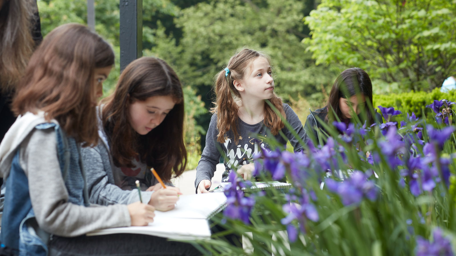 Lower School students sketch irises growing in a garden on the campus. 