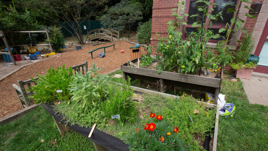 Gardens for flowers, herbs, and vegetables.
