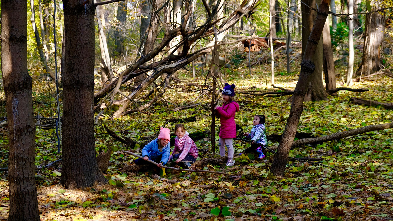 Children play with fallen branches in the woods.