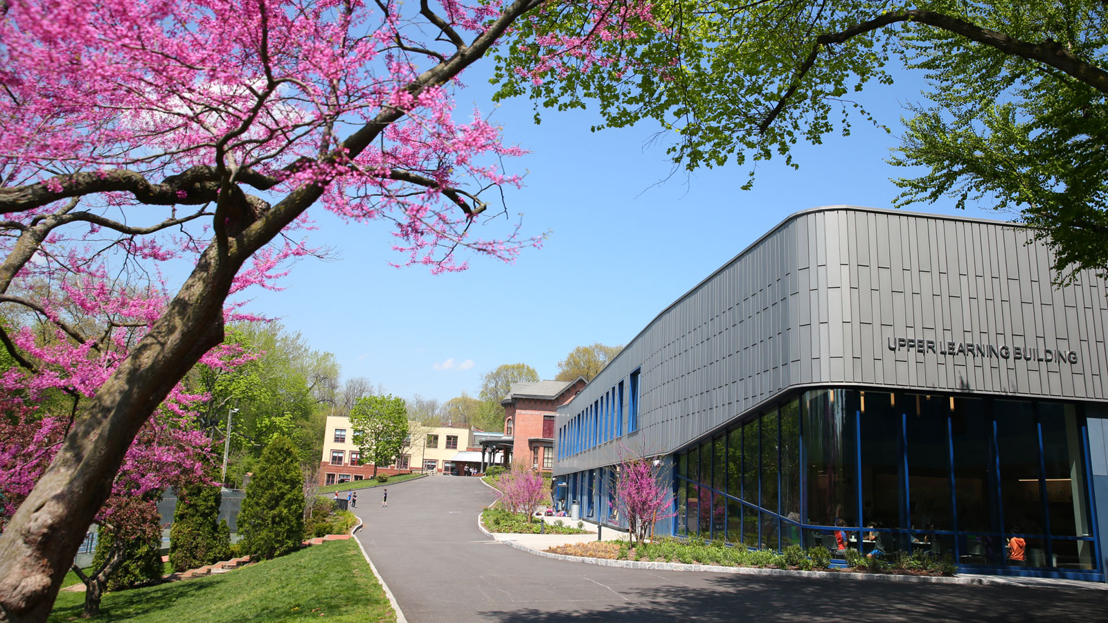 Flowering trees on the Lower School campus in springtime