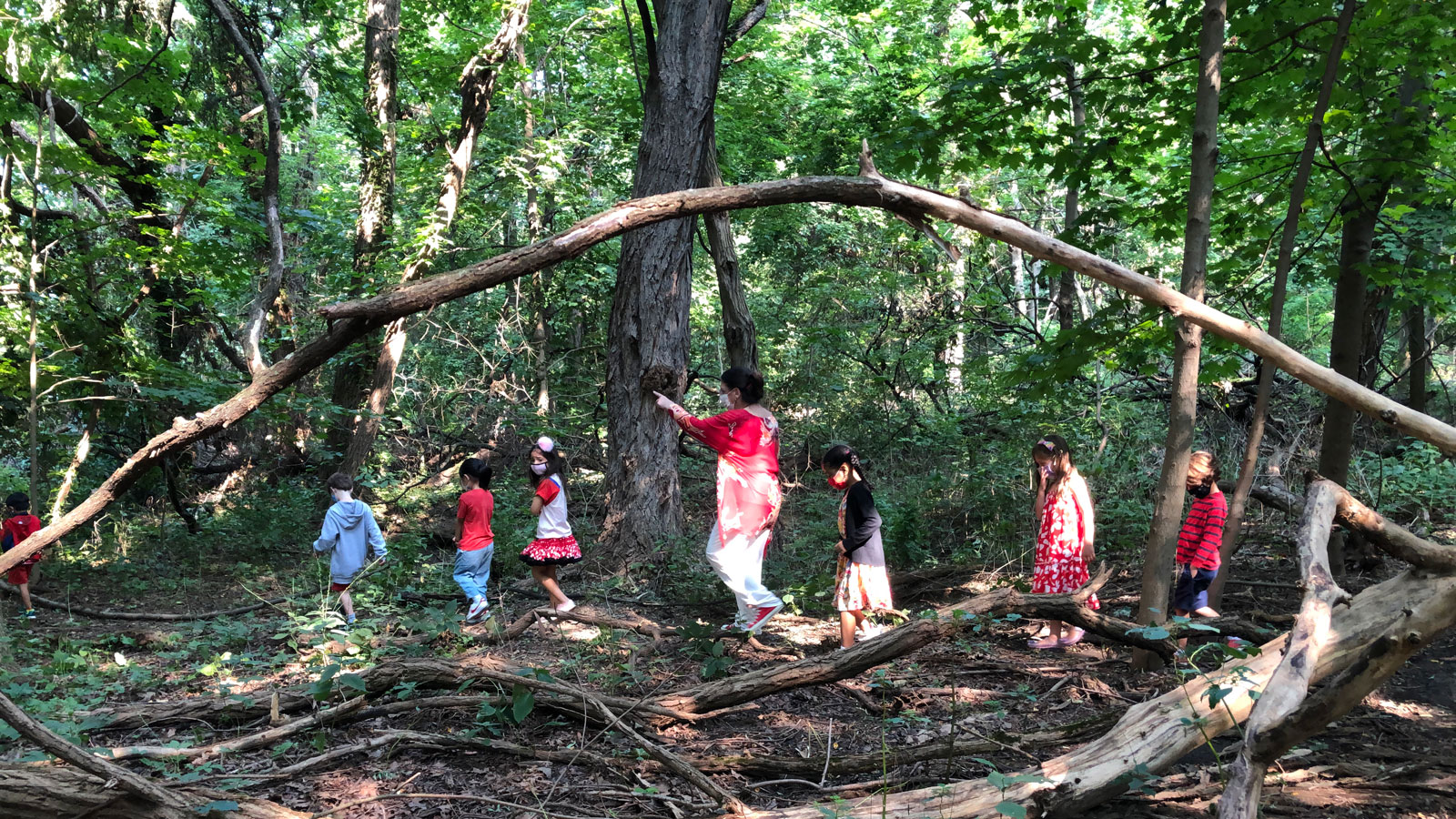 Kindergarten students and their teacher on a nature walk in Riverdale Park