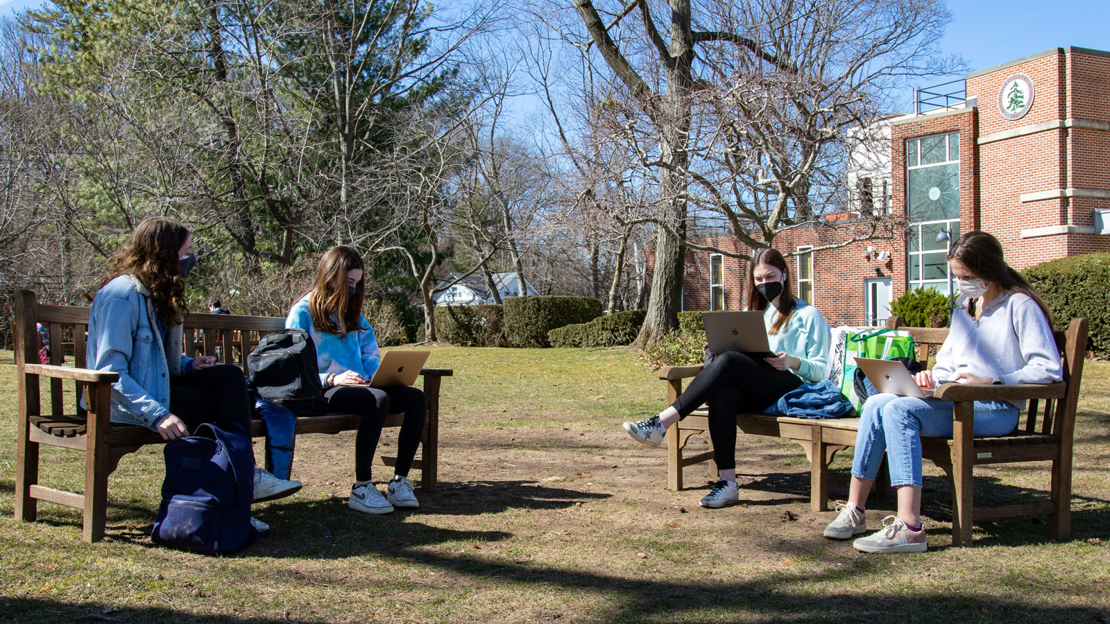 Four students on park benches on the lawn do work on their computers