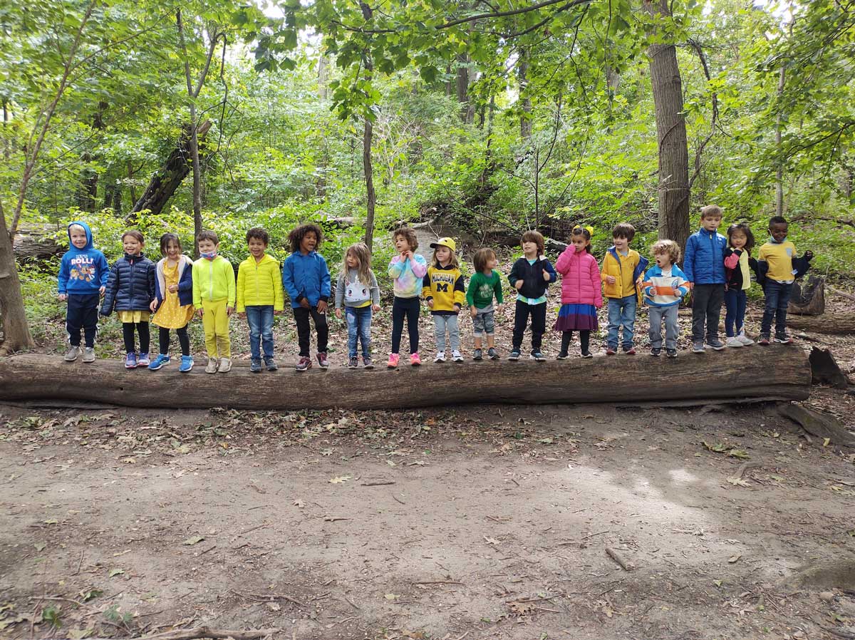 Young students standing on a tree trunk in the woods