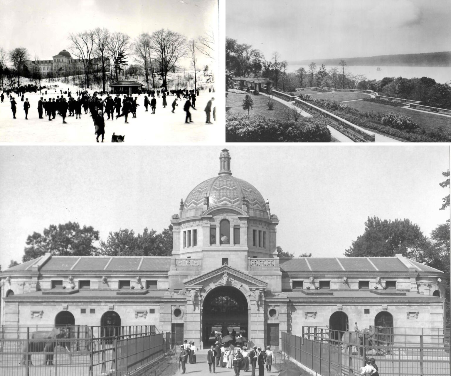 Our Legacy - Riverdale Country School